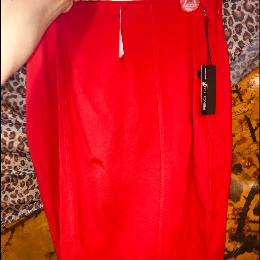 Express pencil skirt